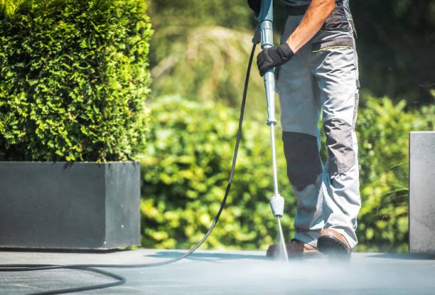 Best Solar Panel Cleaning  in Searingtown, NY