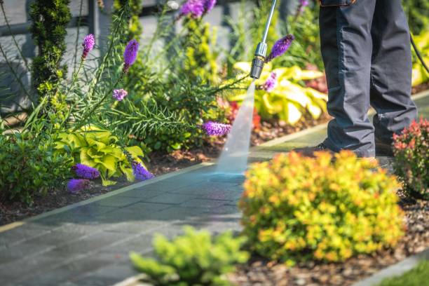 Best Parking Lot and Garage Cleaning  in Searingtown, NY